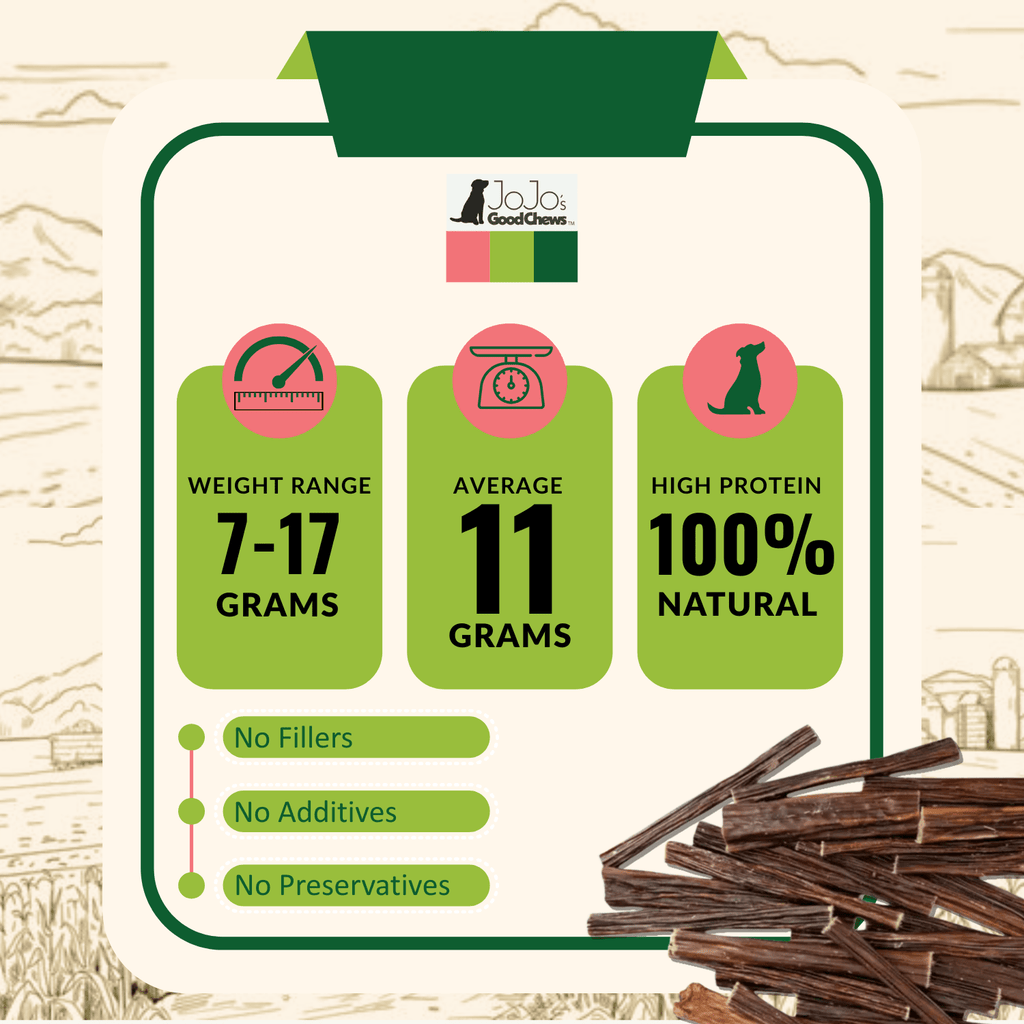 All - Natural Beef Gullet Stick Dog Treats – Delicious & Nutritious, Healthy Chews – 6 Inches (10 - Pack) - Mac's Got More