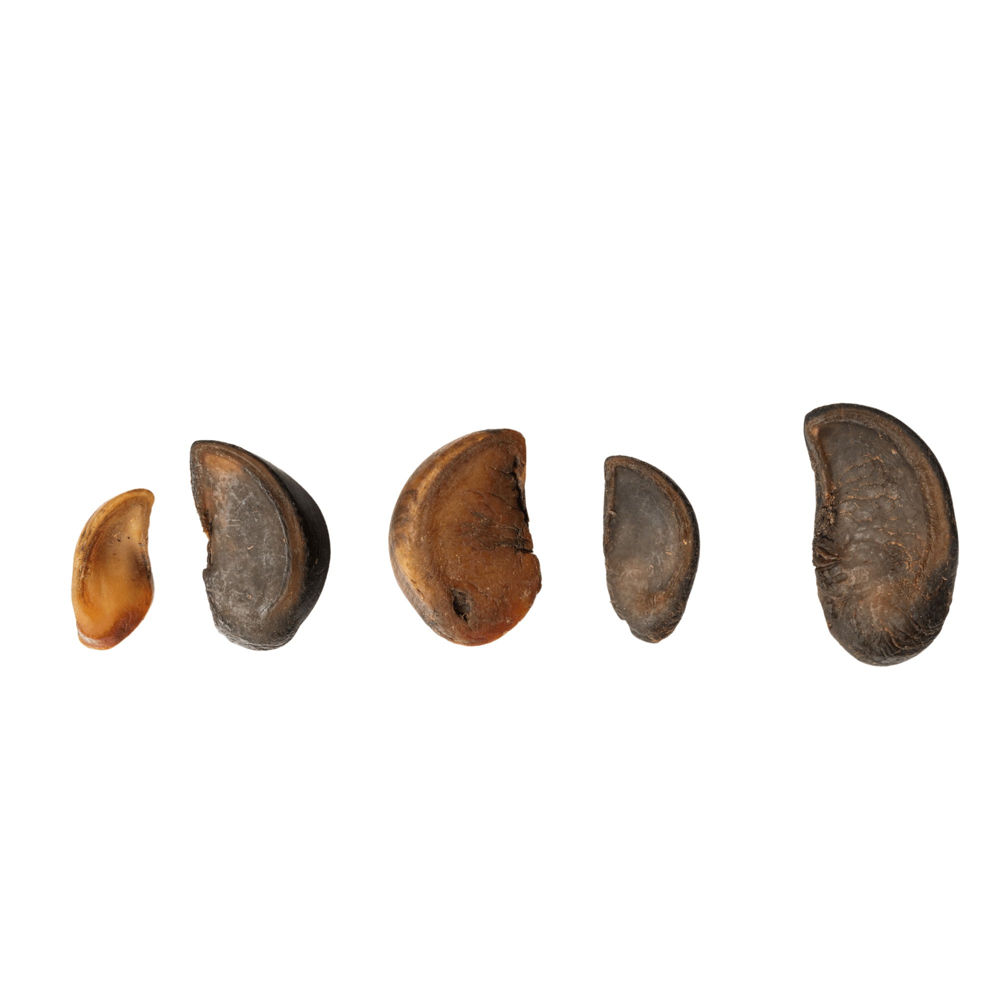 All - Natural Cow Hooves Dog Chews – Premium Crunchy Treats for Dental Health – (25/Case) - Mac's Got More