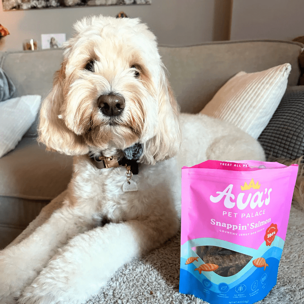 Ava's Pet Palace Crunchy Jerky Dog Treats - Snappin' Salmon Treats (4 oz) - Mac's Got More