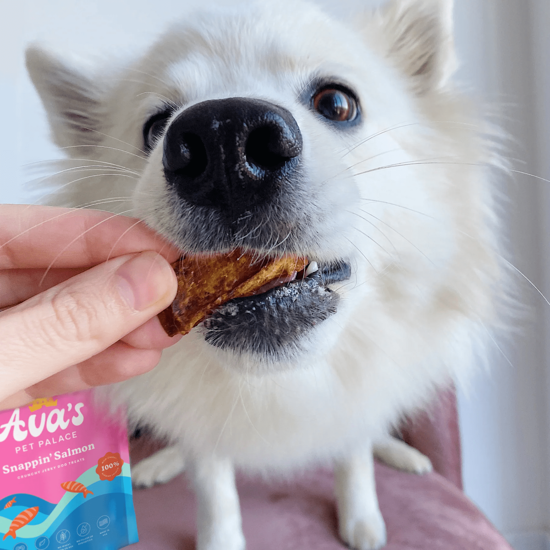 Ava's Pet Palace Crunchy Jerky Dog Treats - Snappin' Salmon Treats (4 oz) - Mac's Got More