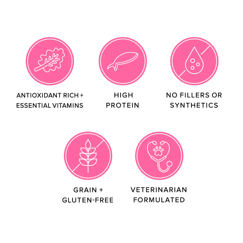 Ava's Pet Palace Freeze Dried Dog Treats - Salmon Puffs (3 oz) - Mac's Got More