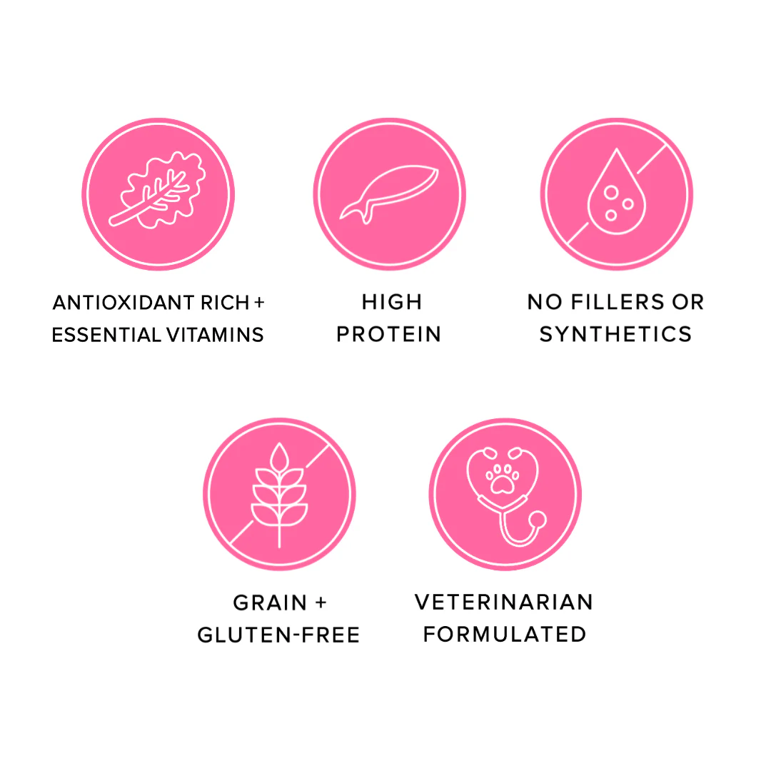 Ava's Pet Palace Freeze Dried Dog Treats - Salmon Puffs (3 oz) - Mac's Got More