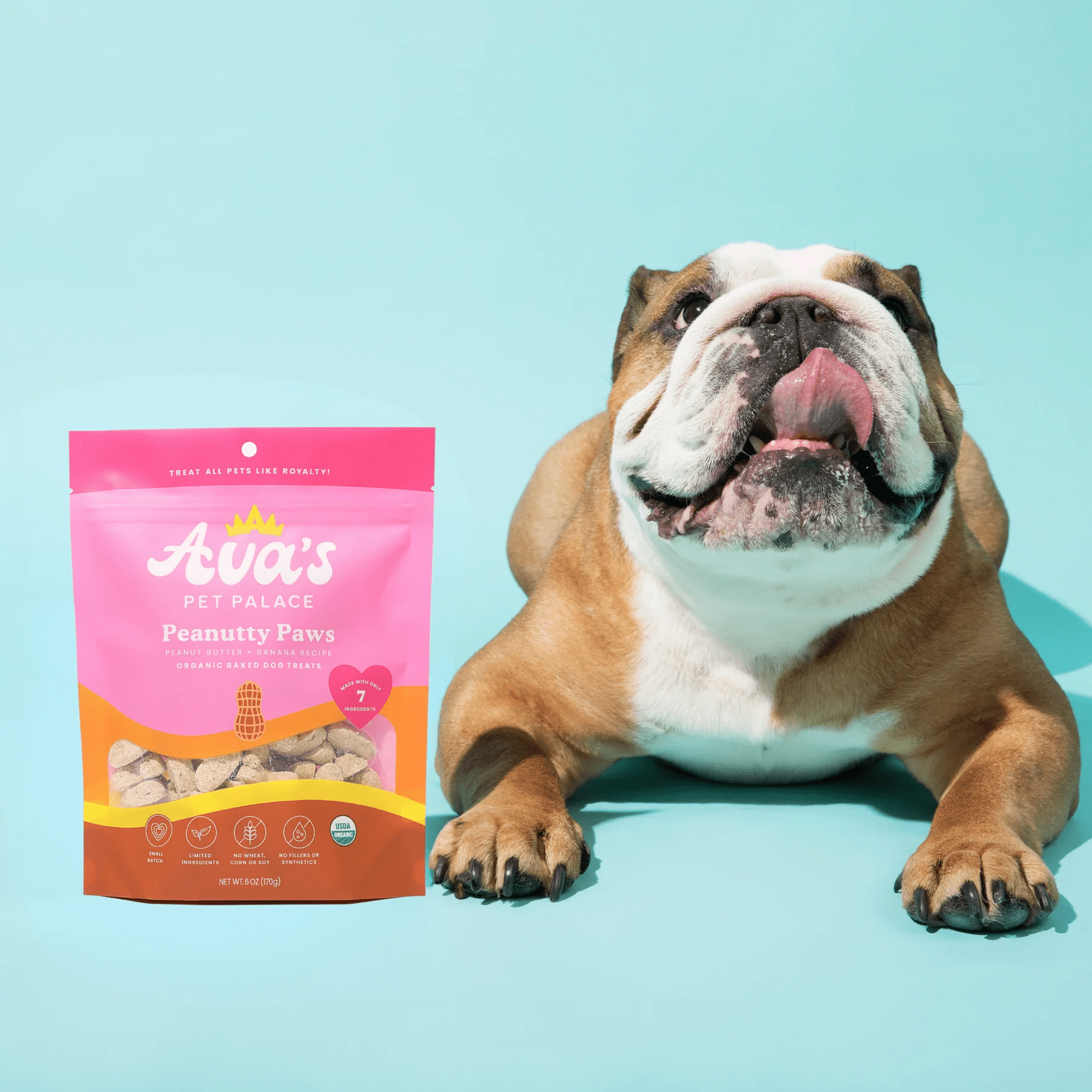 Ava's Pet Palace Organic Oven Baked Dog Treats - Peanutty Paws (6 oz) / 2 - Pack - Mac's Got More