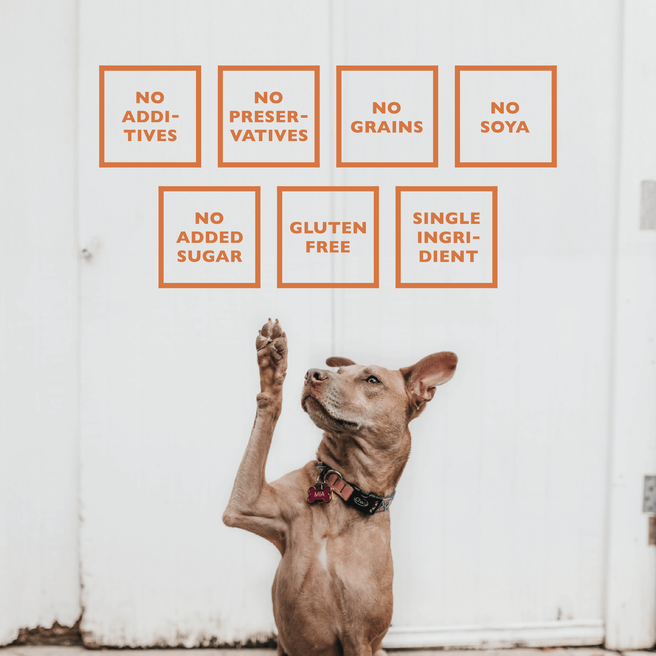 BAFFS NATURALS Lamb Lung Training Bites – All-Natural, Protein-Packed Dog Treats (7oz Bag) ingredients and benefits.