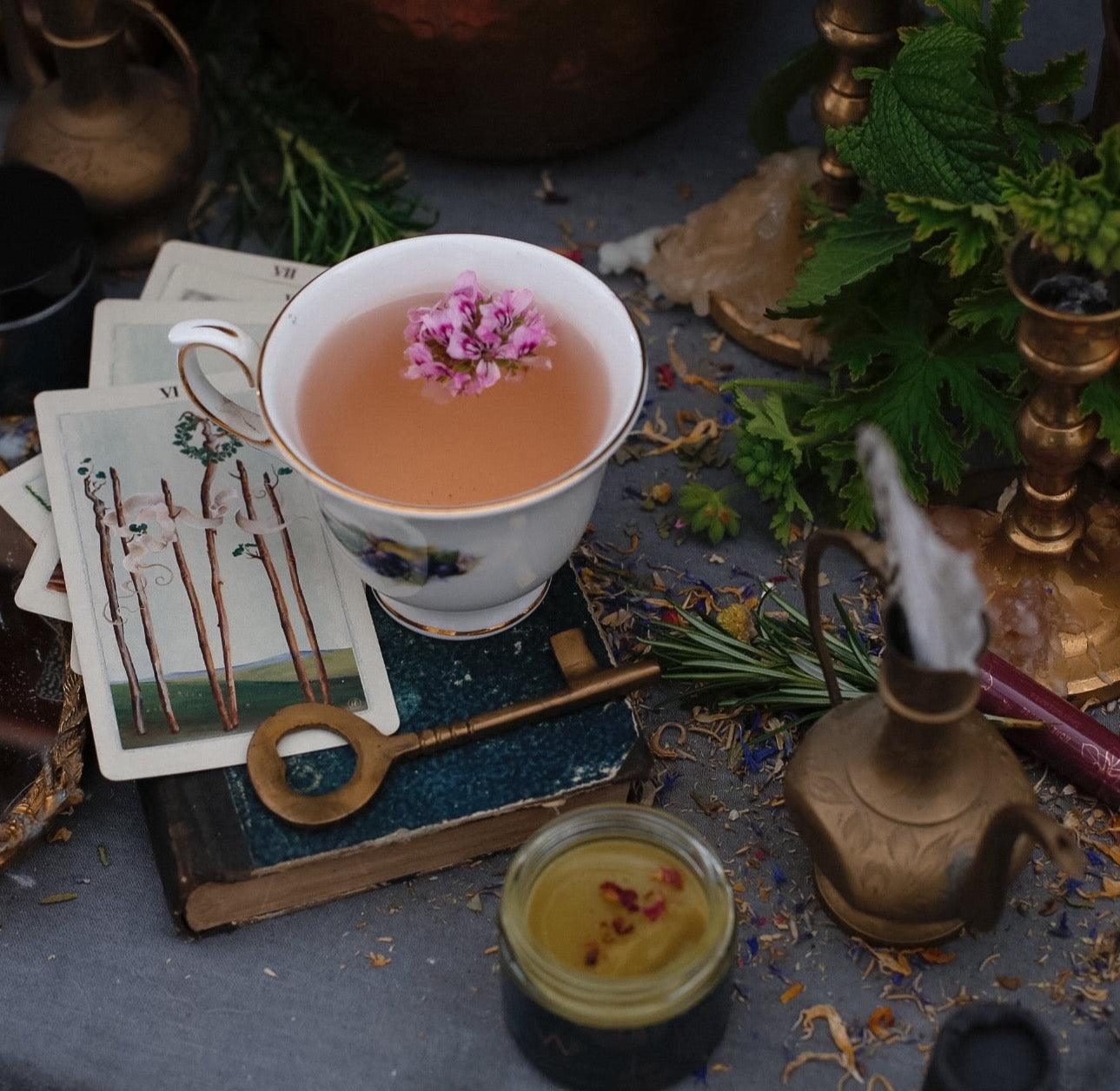 Botanical Salve - Mac's Got More