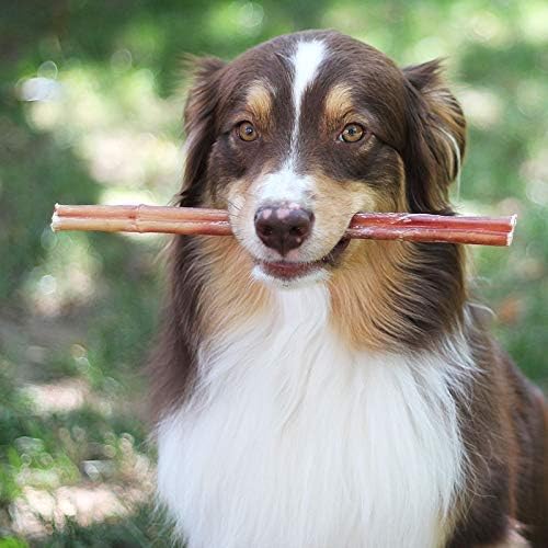 Brazilian Grass - Fed Beef Bully Sticks - Mac's Got More