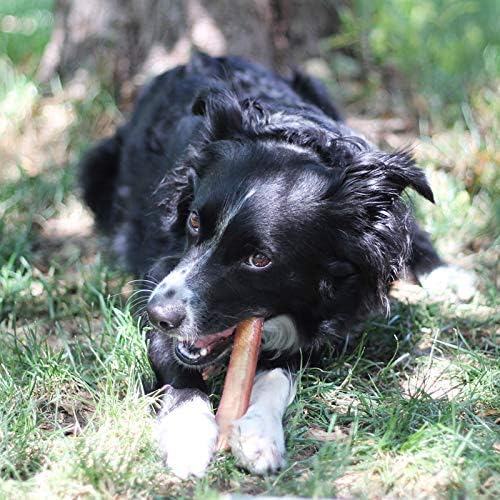 Brazilian Grass - Fed Beef Bully Sticks - Mac's Got More