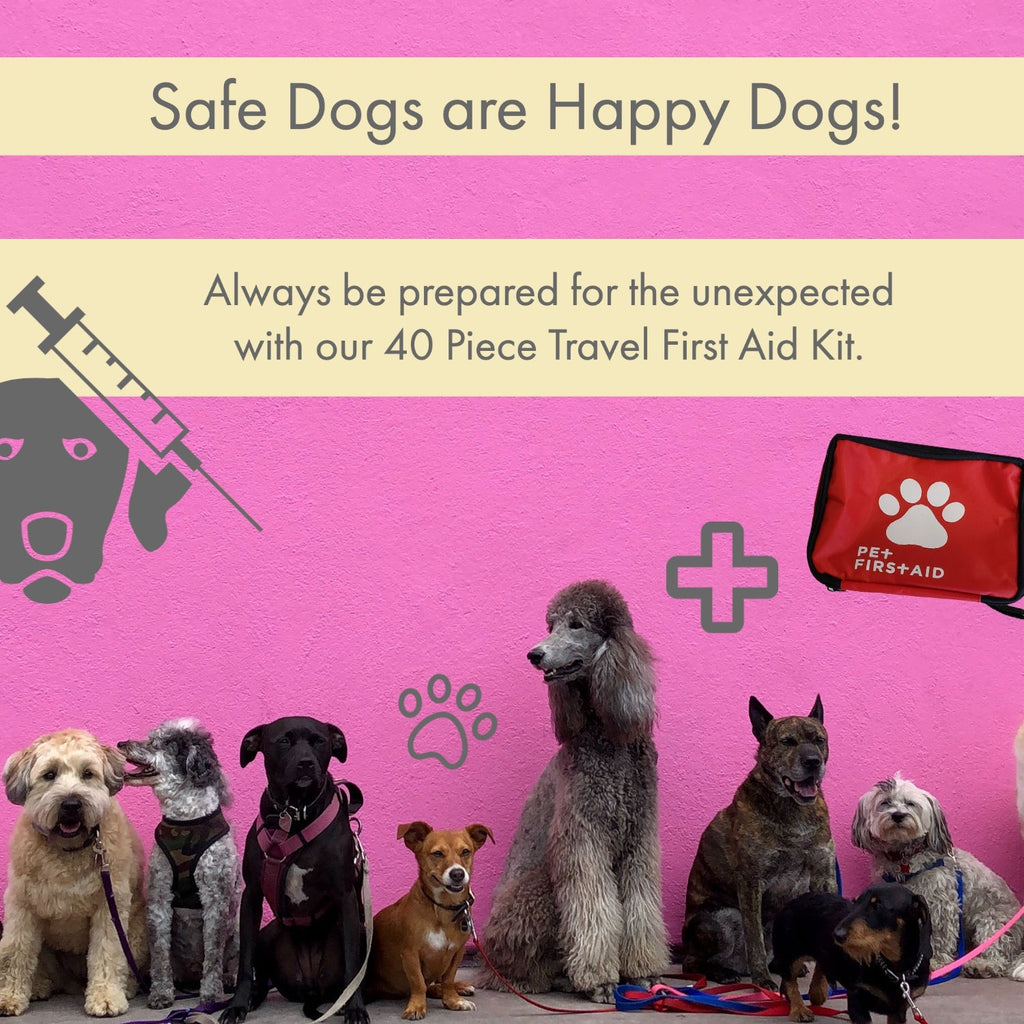 Comprehensive 40 - Piece Pet Travel First Aid Kit for Emergencies, Safety, & Adventure - Mac's Got More