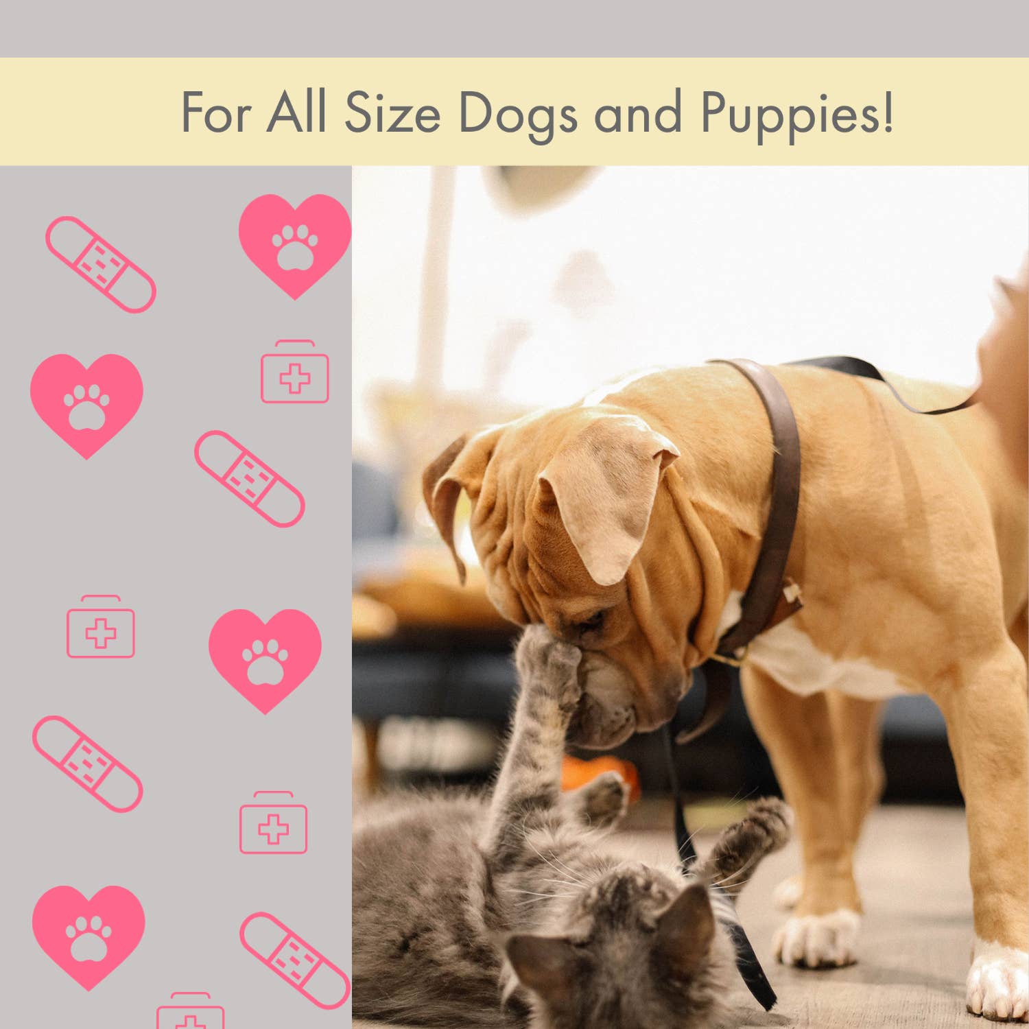 Comprehensive 40 - Piece Pet Travel First Aid Kit for Emergencies, Safety, & Adventure - Mac's Got More