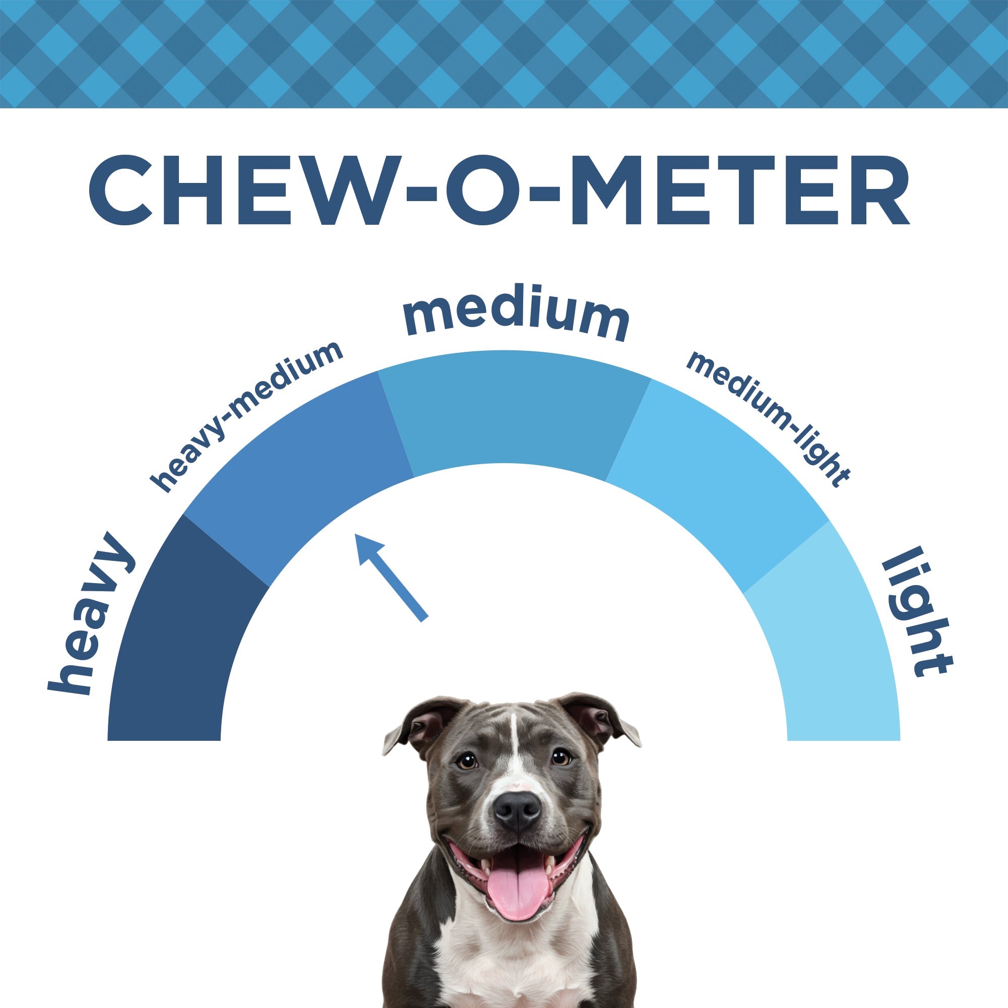 Country Living 4” - 7” Beef Backstrap Tendon Dog Chews – 5 Count Bag – All - Natural, Long - Lasting, High - Protein Dog Treats – Single - Ingredient, Grain - Free - Mac's Got More