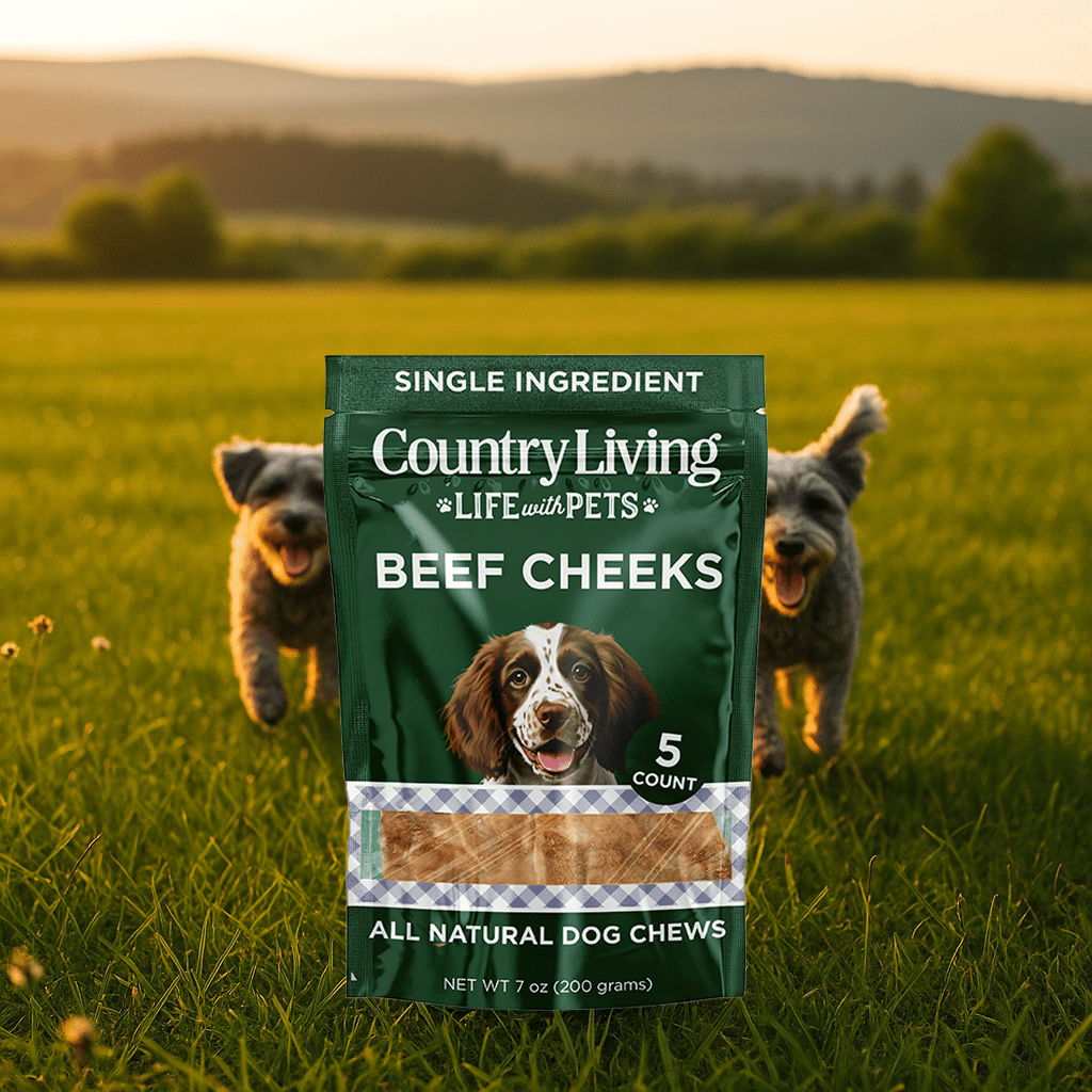 Country Living 4” x 4” Beef Cheek Chip Dog Treats – Chicken Flavor – 5 Count Bag – All - Natural, High - Protein, Long - Lasting Dog Chews - Mac's Got More