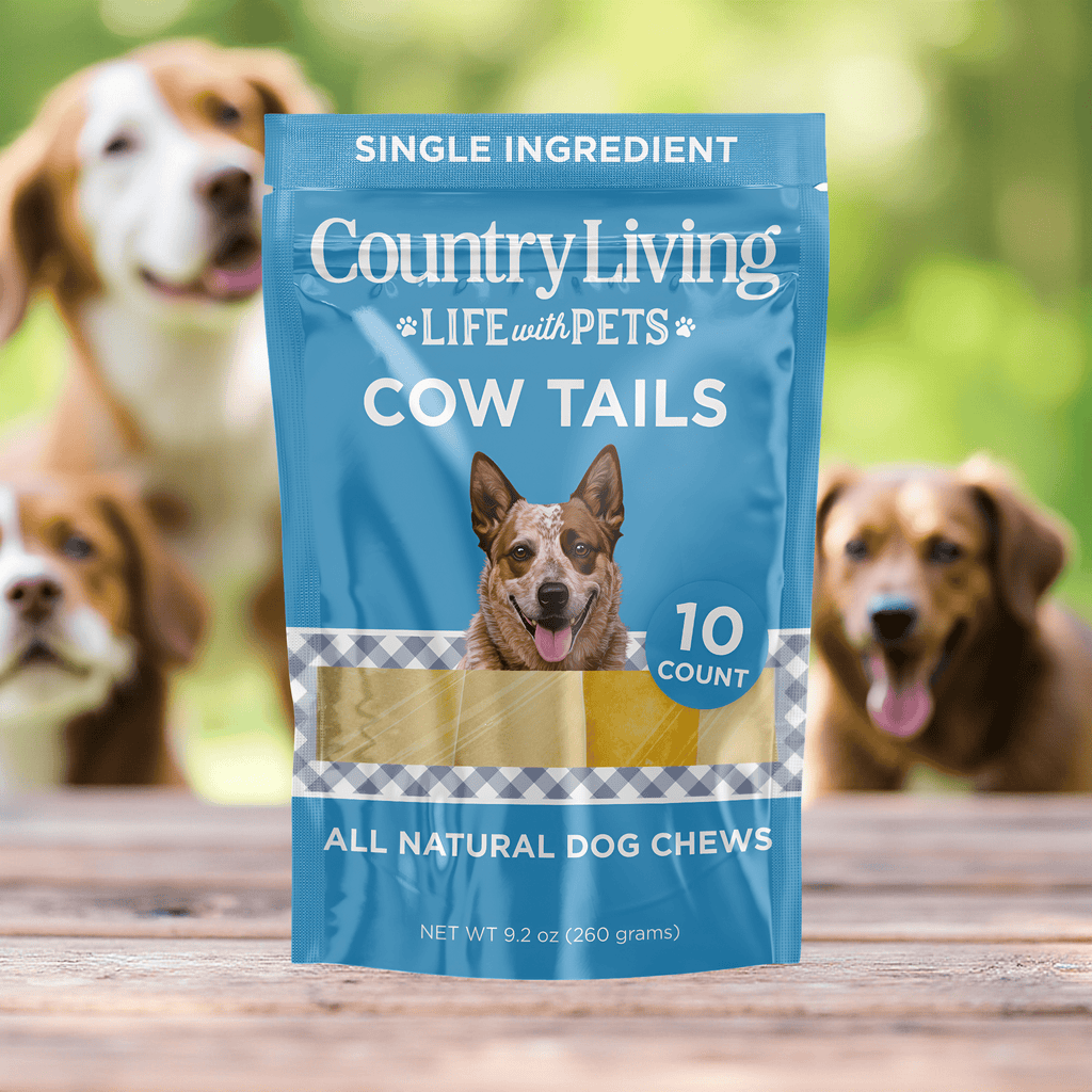 Country Living 5” - 7” Cow Tails Dog Chews – 10 Count Bag – All - Natural, Single - Ingredient, Long - Lasting Beef Chews – High - Protein, Grain - Free – Promotes Dental Health - Mac's Got More
