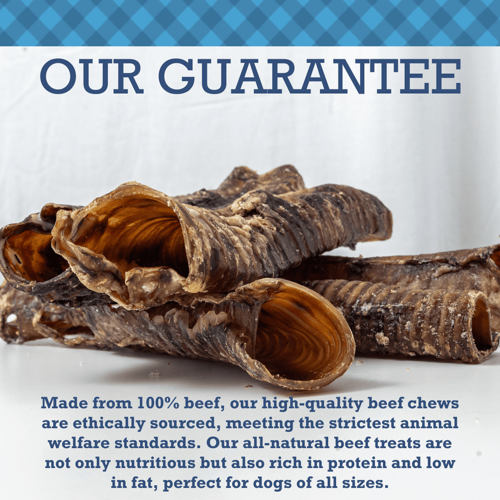 Country Living All - Natural Beef Trachea Dog Treats, Protein - Packed Chews – 12 Inches (5 - Pack) - Mac's Got More