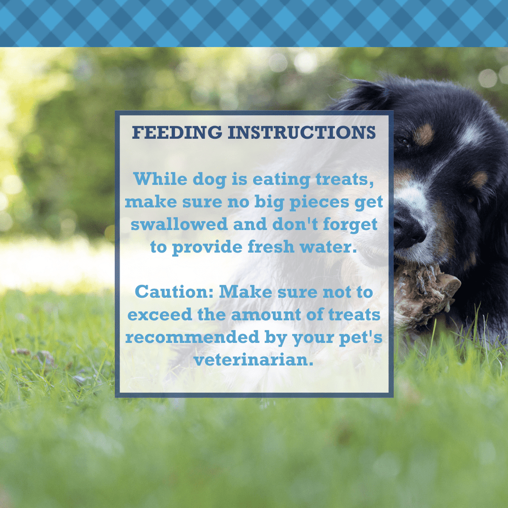 Country Living All - Natural Beef Trachea Dog Treats, Protein - Packed Chews – 12 Inches (5 - Pack) - Mac's Got More