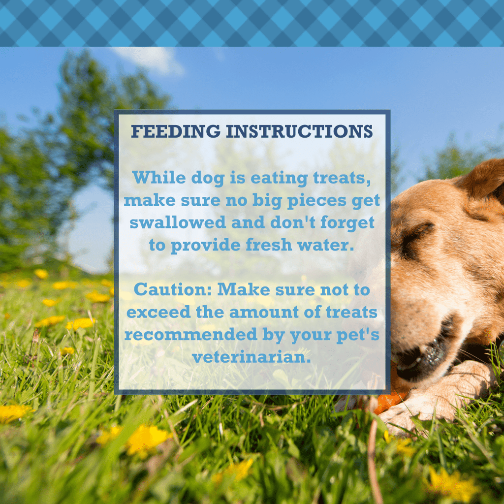 Country Living All - Natural Chicken Feet Dog Treats, Crunchy Snacks for Joint Support – (20 - Pack) - Mac's Got More