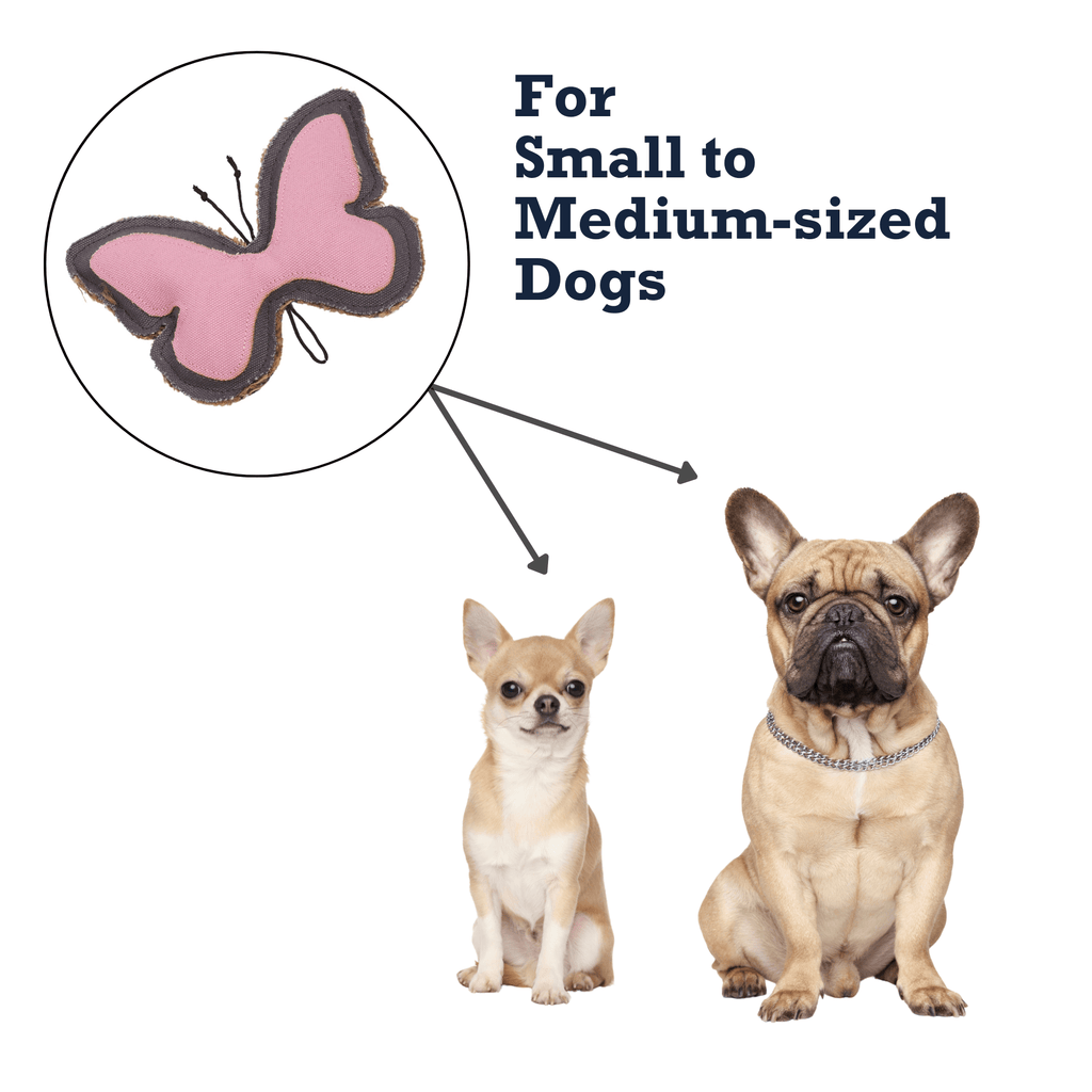 Country Living Canvas & Jute Butterfly - Shaped Dog Chew Toy – Durable, Safe and Non - Toxic - Mac's Got More