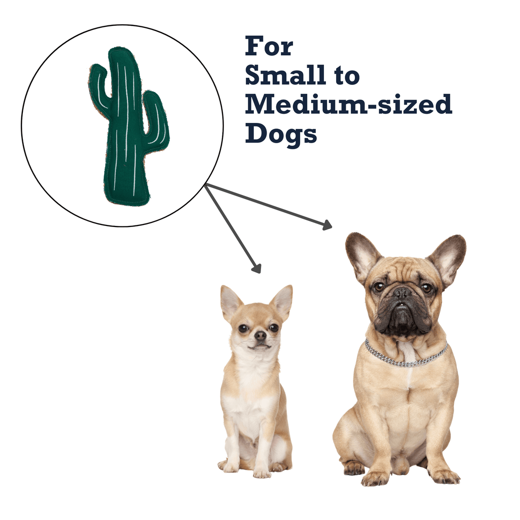 Country Living Canvas & Jute Cactus - Shaped Dog Chew Toy – Durable, Safe and Non - Toxic - Mac's Got More