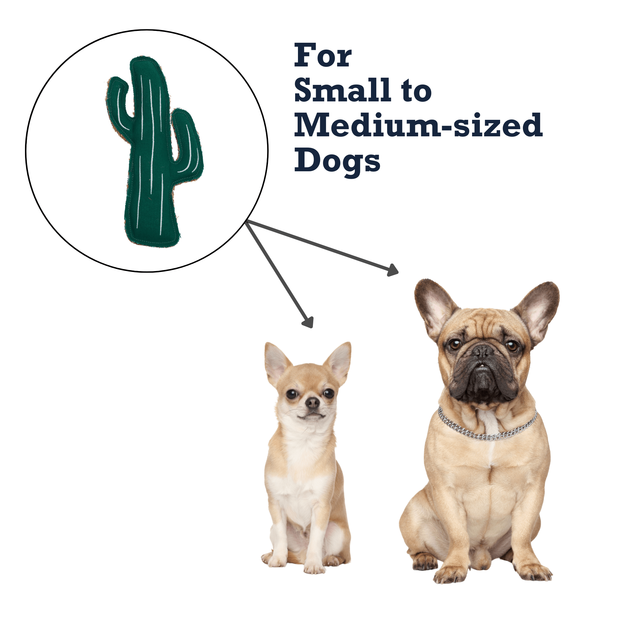 Country Living Canvas & Jute Cactus - Shaped Dog Chew Toy – Durable, Safe and Non - Toxic - Mac's Got More