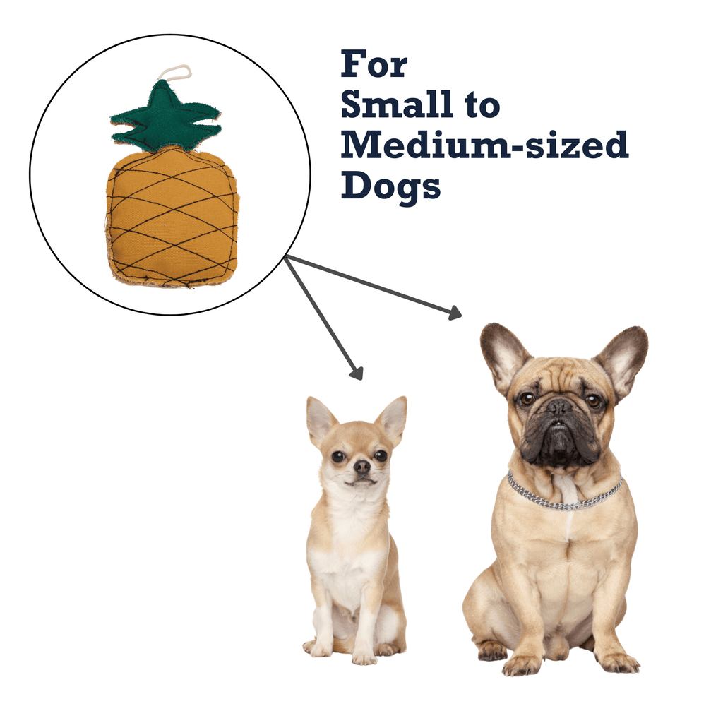Country Living Canvas & Jute Pineapple - Shaped Dog Chew Toy – Durable, Safe and Non - Toxic - Mac's Got More