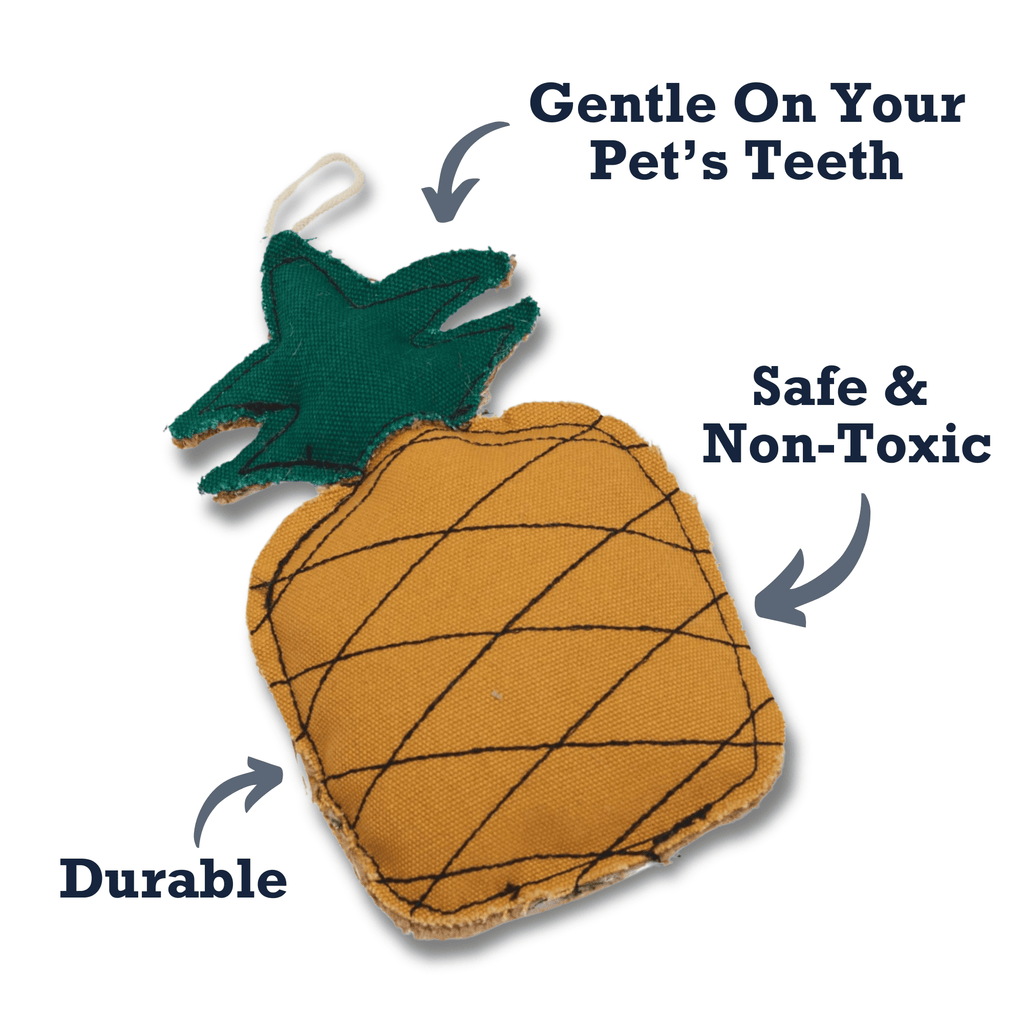 Country Living Canvas & Jute Pineapple - Shaped Dog Chew Toy – Durable, Safe and Non - Toxic - Mac's Got More