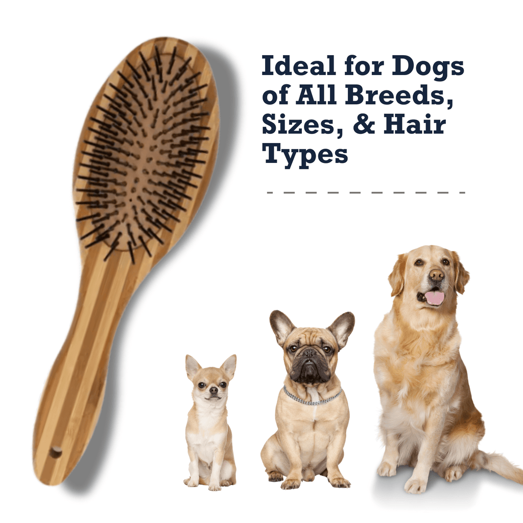Country Living Dual - Sided Natural Wood Dog Brush - Ergonomic, Durable & Versatile - Mac's Got More