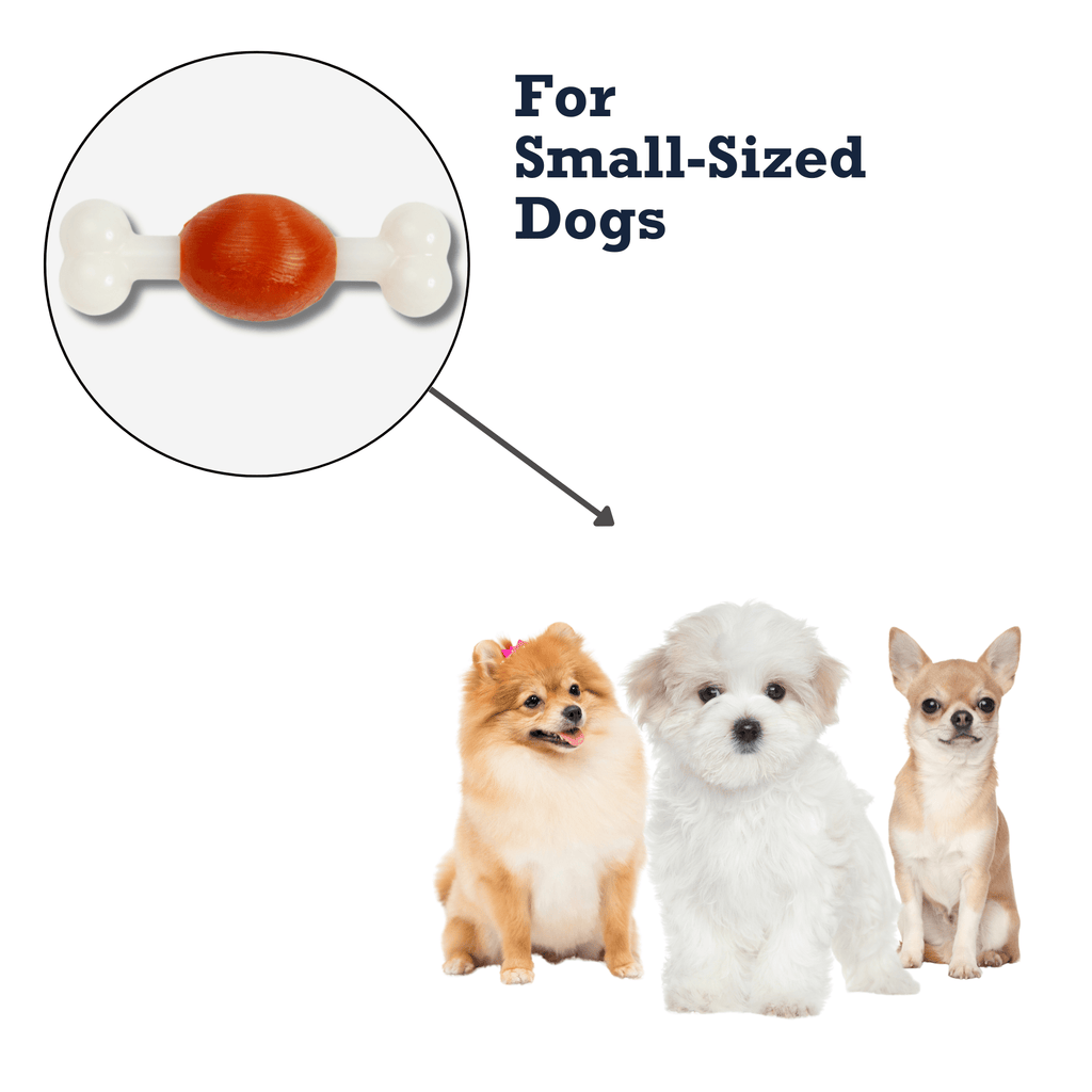 Country Living TPR & Nylon Bone Dog Chew Toy - Beef - Flavored, Ideal for Small Dogs - Mac's Got More