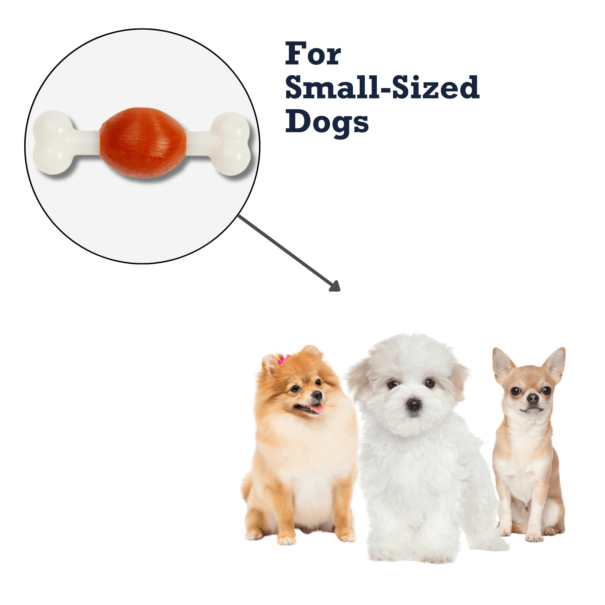 Country Living TPR & Nylon Bone Dog Chew Toy - Beef - Flavored, Ideal for Small Dogs - Mac's Got More