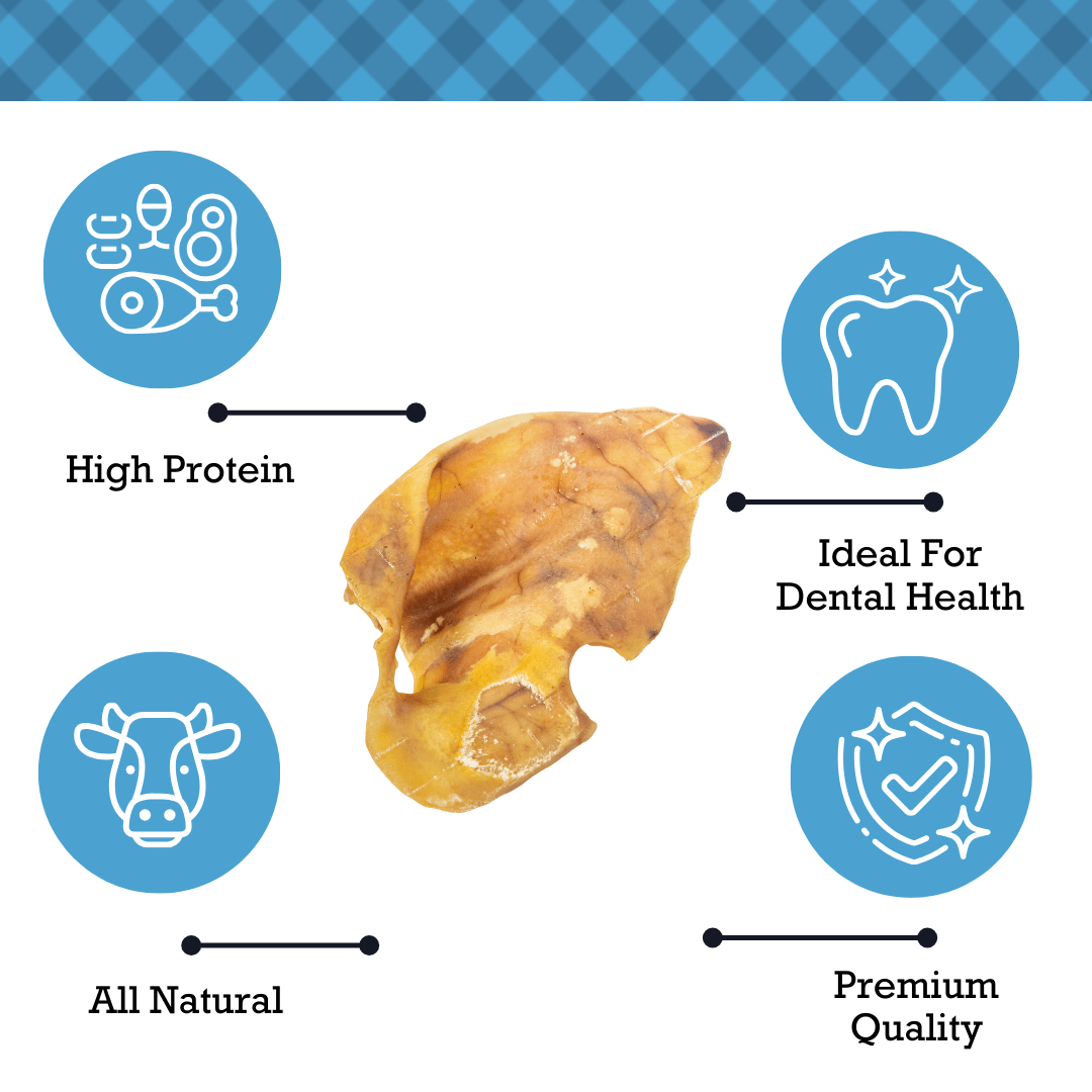 Country Living Whole Pig Ears Dog Treats – 100% Natural, Premium Pork Chews for Dental Care – (15 - Pack) - Mac's Got More