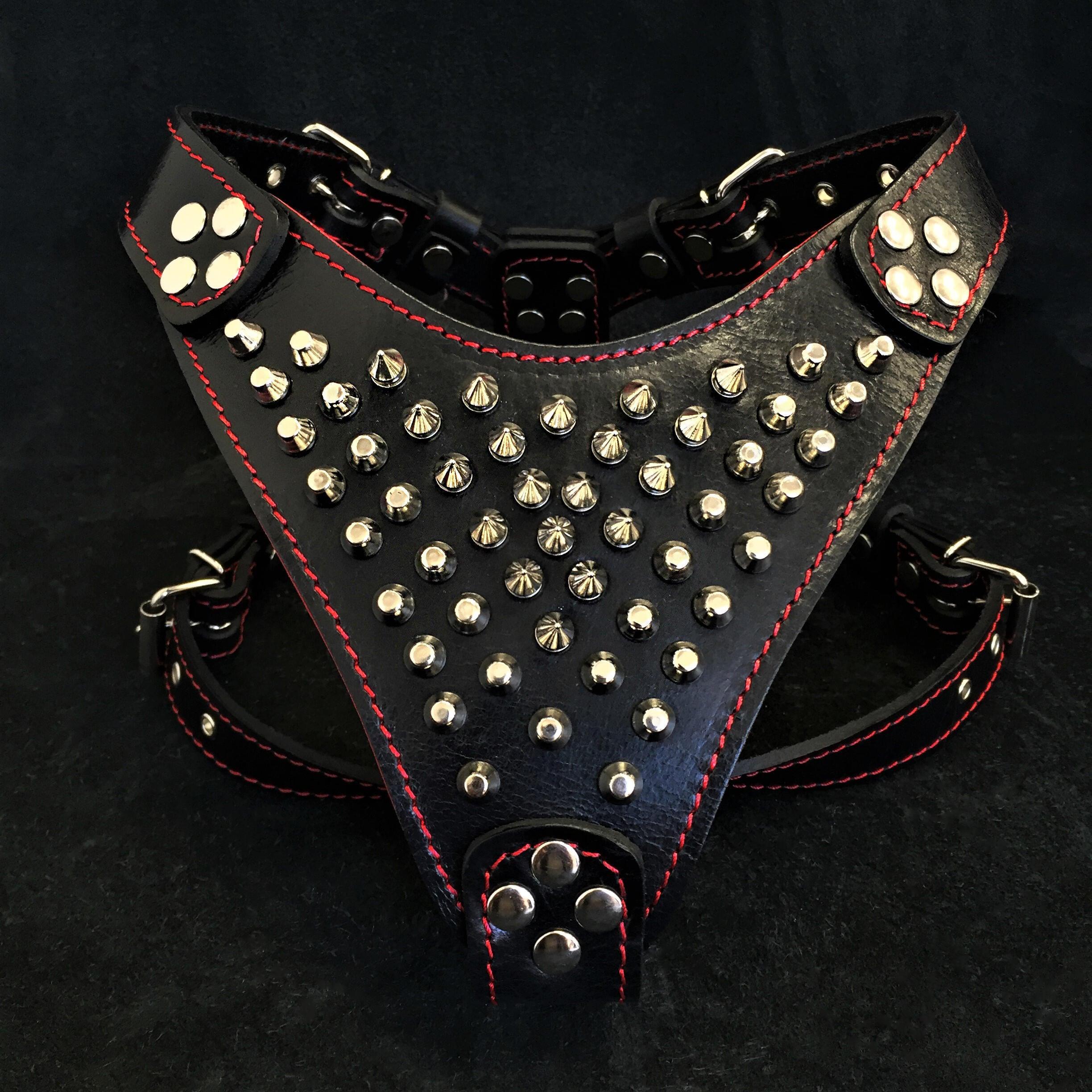 'Frenchie'' studded leather harness Small to Medium Size - Mac's Got More