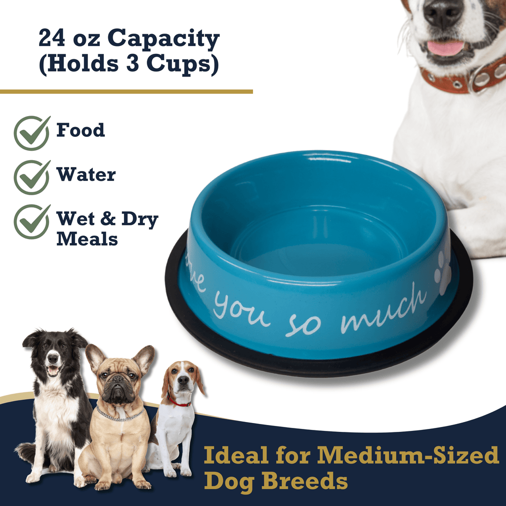 I LOVE YOU SO MUCH Modern Stainless Steel Dog Bowl – 24oz - Mac's Got More
