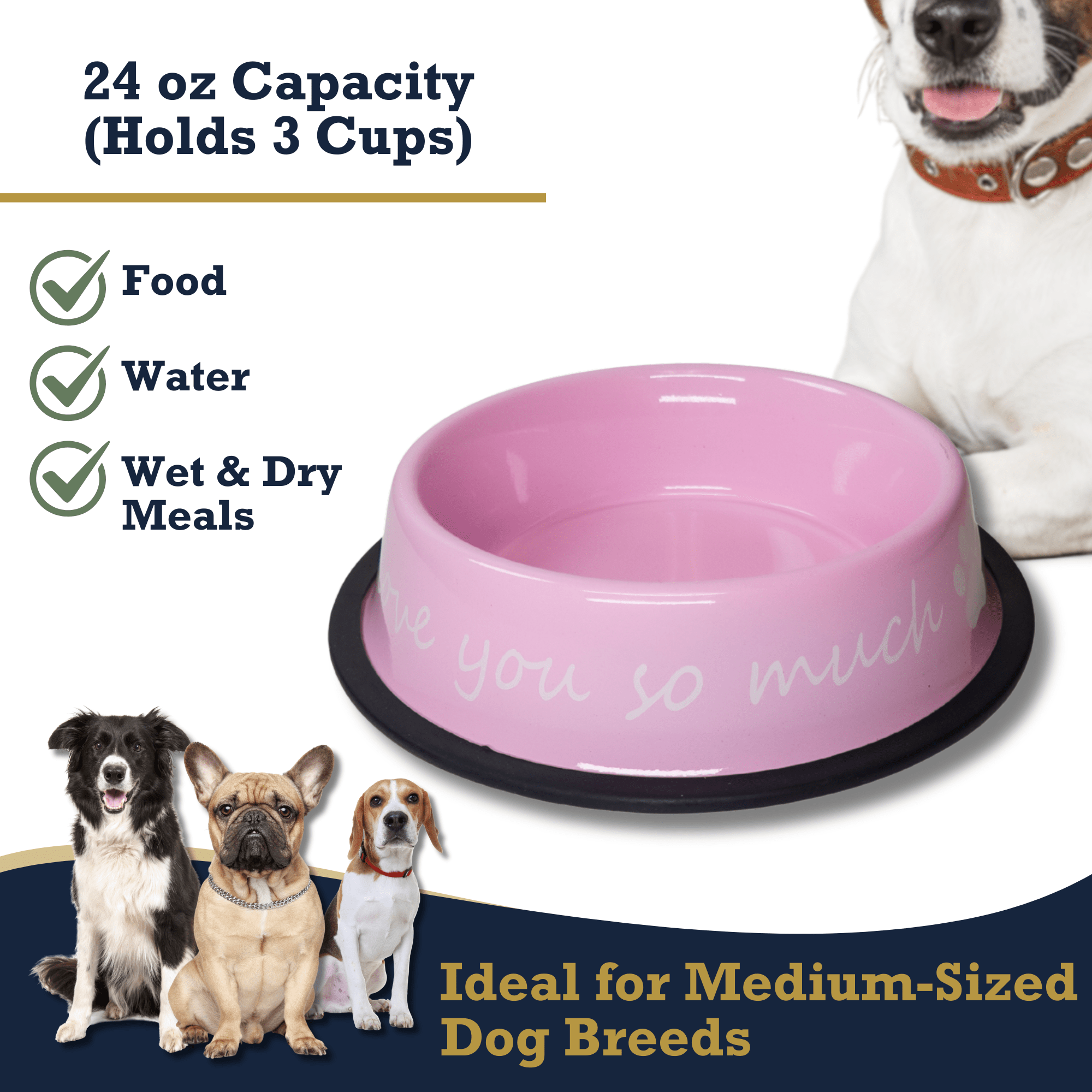 I LOVE YOU SO MUCH Modern Stainless Steel Dog Bowl – 24oz - Mac's Got More