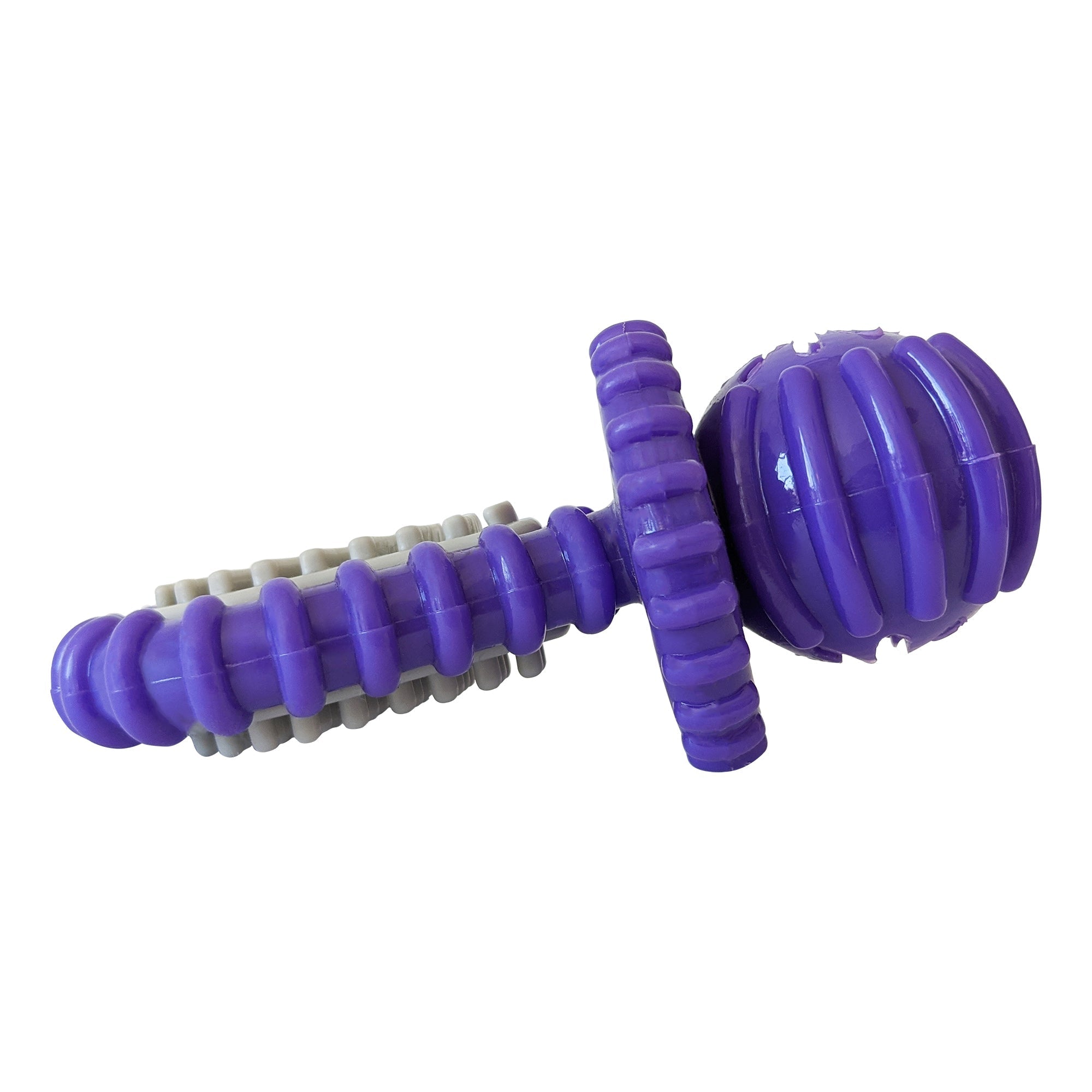 Purple Rubber Dental Pacifier Dog Toy – Ridges, Treat Hole & Durable Design - Mac's Got More