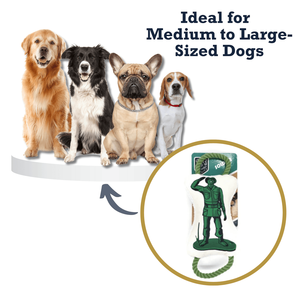 Retro Soldier with Squeaker & Crinkle Paper Plush Dog Toy - Mac's Got More