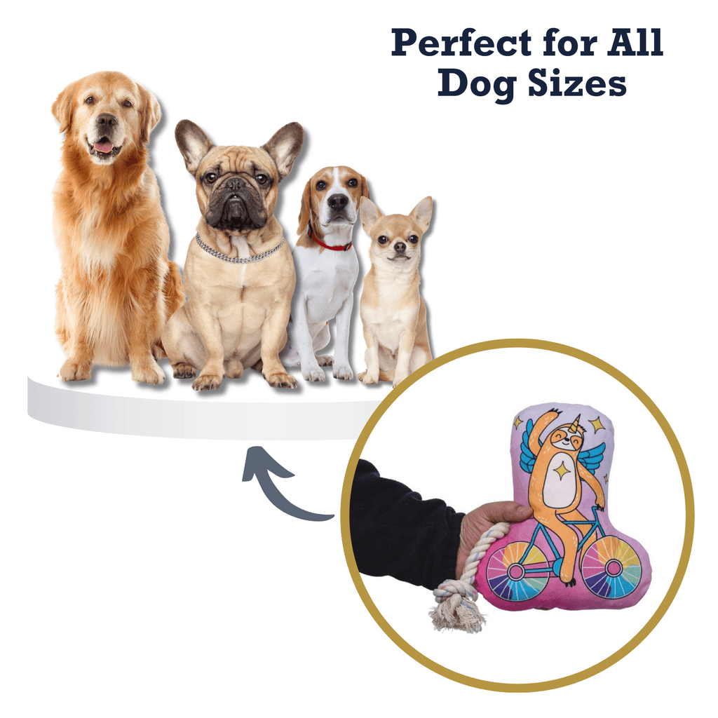 Slow Biker Plush Dog Toy – with Squeaker & Crinkle Paper for Fun Play - Mac's Got More