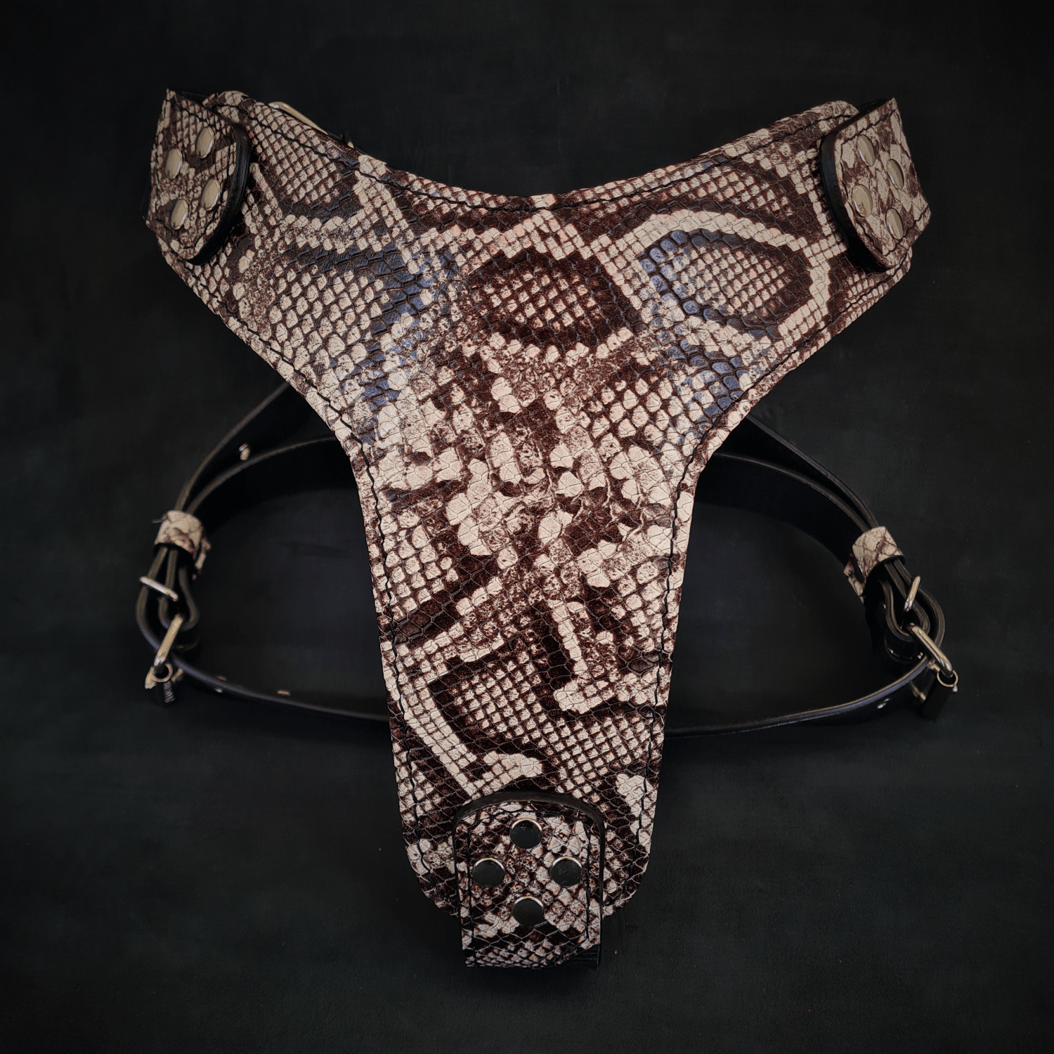 The ''Rock Python'' harness - Mac's Got More
