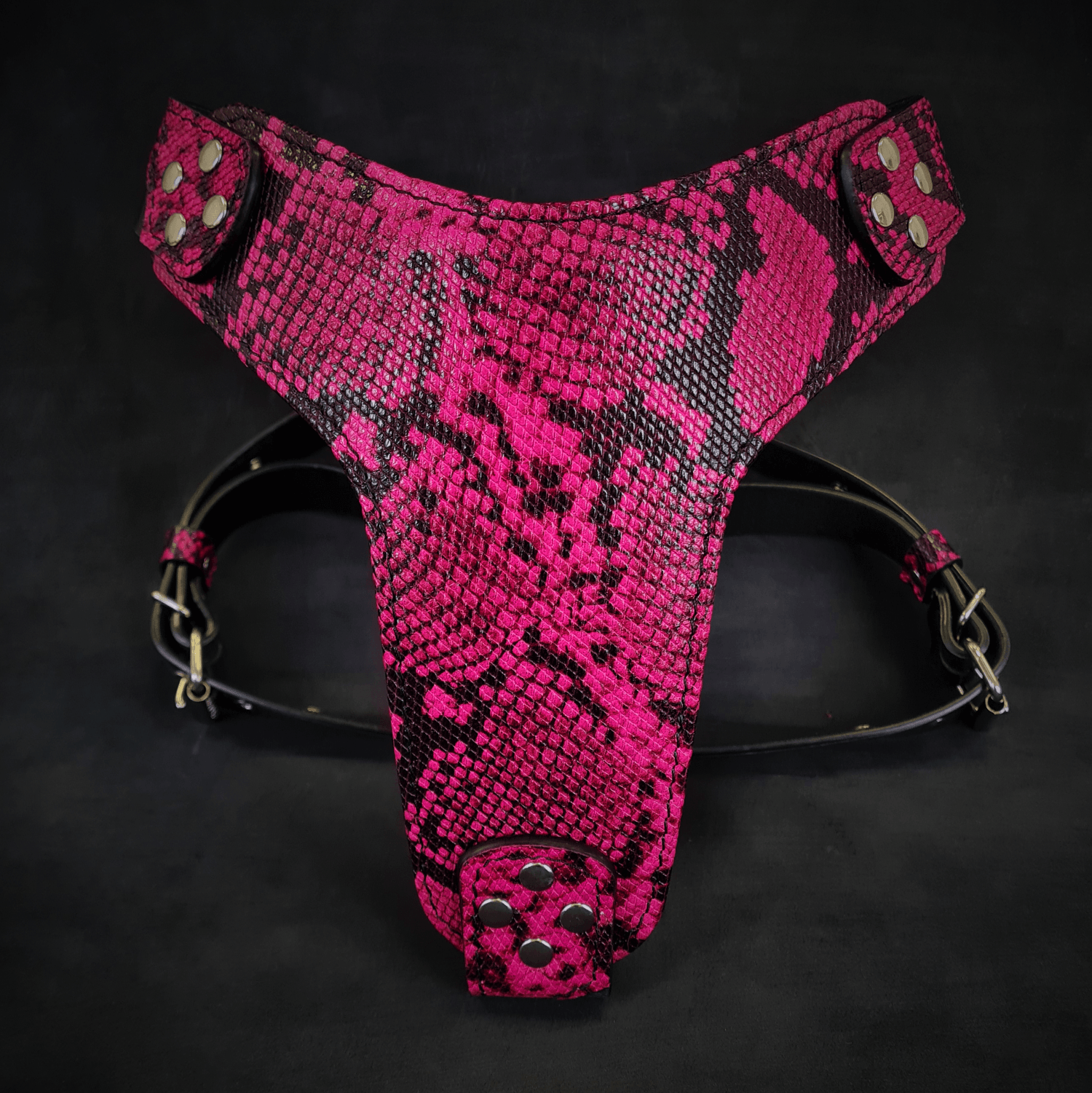 The ''Rock Python'' harness PINK - Mac's Got More